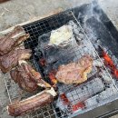 자라섬캠핑장2(A사이트) 이미지