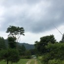 솔치송어파티 이미지