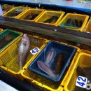 문화코스 /테마코스 /기획코스 이미지