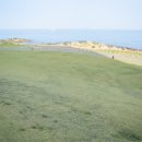 하울팟 부산케어센터 이미지