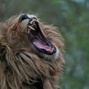 성진자원 이미지