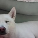 유토피아마트 이미지