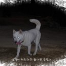 무진농장 이미지