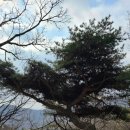 계양산목장 | 계양산 등산코스 이야기