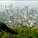 남산웰빙 이미지