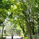 한가람한양6차 이미지