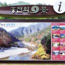 삼둔사가리 이미지
