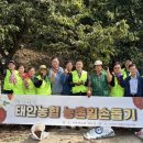 태안농협 이미지