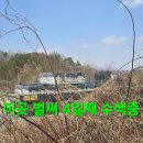 4일째 한장소 찔레상황 버섯산행.254 이미지