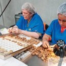 내지농장 이미지