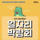 295 파이낸셜뉴스