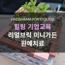 반려식물(홈가드닝) 이미지