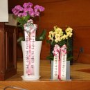 선진주 이미지