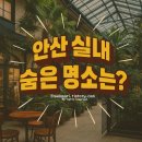 까치게임장 | 안산 실내 가볼만한곳 베스트 10