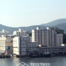 통영 볼락 협동조합