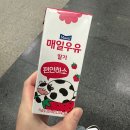 구미사철식당 | [일본] 도쿄 여행기 - 1. 롯폰기 힐즈/돈카츠 부타구미/로손/호텔 빌라 폰테누 그랜드 도쿄-시오도메