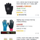 퀸즈승마장 | [대전] 2024년 학생승마 신청 및 참여후기