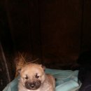 풍산농장 이미지