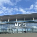 친친호텔 | 어쩌다 보니 부산 여행 🫶🏻 이제 다이어트다!!!! (부산 호메르스 호텔 후기)