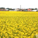해양탐구수련원 인근 | [강원도 삼척시] 솔향기가득한집