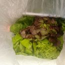 정진농장 이미지