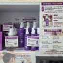 운정몽땅부동산공인중개사사무소 이미지