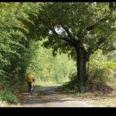 태청산농장 이미지