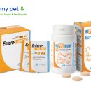 코리아동물약품 이미지