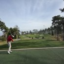 도그캐슬 | 세종 레이캐슬CC이용후기🥰