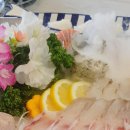 아이싱싱회 이미지