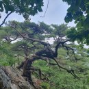 名山探訪 삼악산(춘천) 이미지