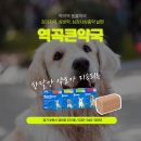 역곡큰약국 이미지