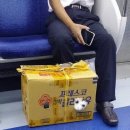 즐거운 강아지 이미지