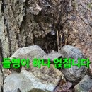 구광터 엉엉 흑흑 백두대간 답사산행.131 (2차 단도리) 이미지