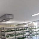 해마루 학교 식물공장 다녀왔습니다 /스마트팜 인식의 확산과 참여 이미지