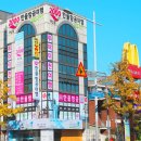 한울약국 | 부산에서 대마도 배편으로 저렴하게 가는 방법 총정리!