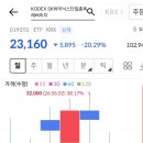 홀짝 - 속초시 | 홀짝
