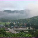 번암동화로 이미지