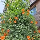 공생약국 이미지