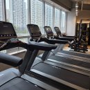 프로24시 | 일광 24시 헬스장 프로짐 후기 시설 좋고 운동하기 편한 곳