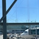 호연헬스케어 | [휴가일기]한국에서의 화끈한 휴가🔥| 로테르담 이사 | 캐치업 파티 🌟