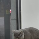 GS25송파센타 이미지