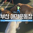 센텀동로 102 이미지