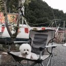 캠프 에이프릴(Camp April) 이미지