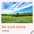 세번티푸드 | 돌아기랑 제주 중문 가볼만한곳 오설록 티뮤지엄 방문 후기