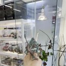 동성카프라자 이미지