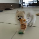 멍쓰홀릭 이미지