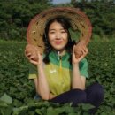 강보람고구마 이미지