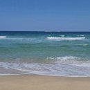 닛시농장 이미지