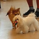 동탄우리유치원 이미지